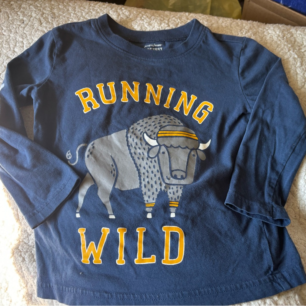 2T long sleeve shirt